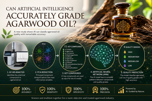 Can Artificial Intelligence Accurately Grade Agarwood Oil? A New Study Suggests It Can