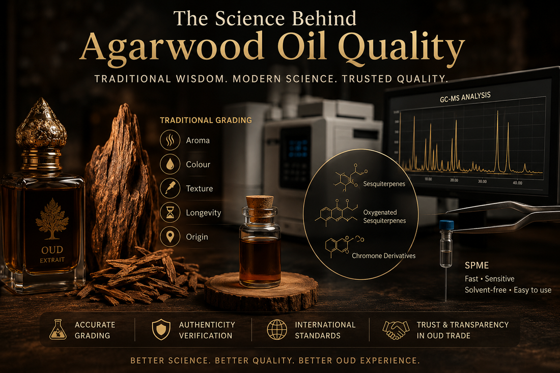 The Science Behind Agarwood Oil Quality: Traditional Grading vs Modern Analysis