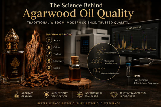 The Science Behind Agarwood Oil Quality: Traditional Grading vs Modern Analysis